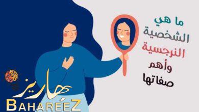 ما معنى كلمة نرجسي ؟ وما هي الشخصية النرجسية وأهم صفاتها ما معنى كلمة نرجسي ؟ وما هي الشخصية النرجسية وأهم صفاتها