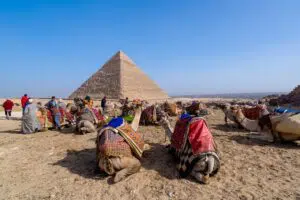 سياحة