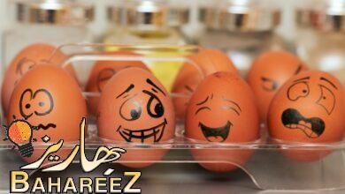 اجدد فيديوهات مضحكه جدا جدا لن تستطيع التوقف عن الضحك 2022 اجدد فيديوهات مضحكه جدا جدا لن تستطيع التوقف عن الضحك 2022