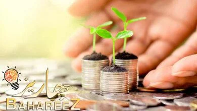 لماذا سميت الزكاة بهذا الاسم؟ -التعريف والنصوص الدينية وانواعها