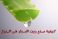 كيفية صنع زيت الصبار في المنزل وطريقة استخدامة كيفية صنع زيت الصبار في المنزل وطريقة استخدامة