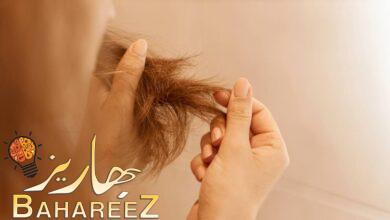 أفضل 7 فواكه لتساقط الشعر وتغذية البصيلات والحفاظ علية أفضل 7 فواكه لتساقط الشعر وتغذية البصيلات والحفاظ علية