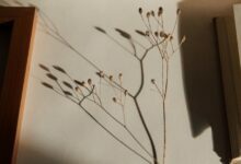 كيفية تحويل صورتك إلى رسم أو كرتون بورتريه احترافي كيفية تحويل صورتك إلى رسم أو كرتون بورتريه احترافي