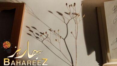 كيفية تحويل صورتك إلى رسم أو كرتون بورتريه احترافي كيفية تحويل صورتك إلى رسم أو كرتون بورتريه احترافي