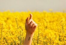 كيفية الوصول إلى صورك الحديثة في أي مكان باستخدام My Photo Stream كيفية الوصول إلى صورك الحديثة في أي مكان باستخدام My Photo Stream