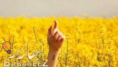 كيفية الوصول إلى صورك الحديثة في أي مكان باستخدام My Photo Stream كيفية الوصول إلى صورك الحديثة في أي مكان باستخدام My Photo Stream