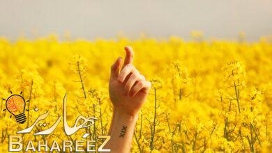 كيفية الوصول إلى صورك الحديثة في أي مكان باستخدام My Photo Stream كيفية الوصول إلى صورك الحديثة في أي مكان باستخدام My Photo Stream