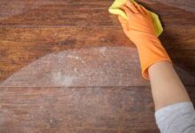 لماذا المنزل مترب جدا؟ طرق فعالة للتخلص من الغبار في المنزل 2022 لماذا المنزل مترب جدا؟ طرق فعالة للتخلص من الغبار في المنزل 2022