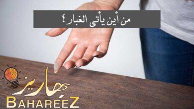 من أين يأتي الغبار؟ دليل مصادر الغبار في المنزل وحلولها من أين يأتي الغبار؟ دليل مصادر الغبار في المنزل وحلولها