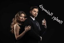 العطور والإثارة الجنسية واهم فوائد ومواصفات العطور الجنسية العطور والإثارة الجنسية واهم فوائد ومواصفات العطور الجنسية