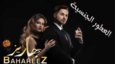 العطور والإثارة الجنسية واهم فوائد ومواصفات العطور الجنسية العطور والإثارة الجنسية واهم فوائد ومواصفات العطور الجنسية