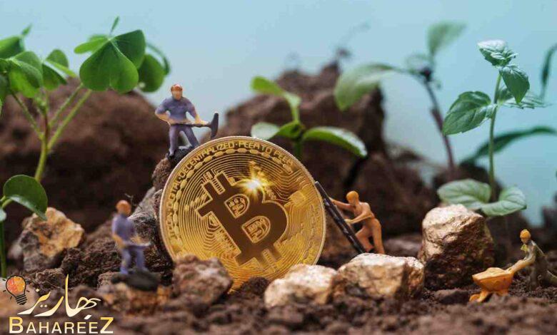 تعمل (Xrp Classic) على تعزيز تمويل متجدد صديق للبيئة باستخدام تقنية سلسلة الكتل تعمل (Xrp Classic) على تعزيز تمويل متجدد صديق للبيئة باستخدام تقنية سلسلة الكتل