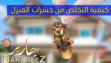كيفية التخلص من حشرات المنزل ب 10 طرق كيفية التخلص من حشرات المنزل ب 10 طرق