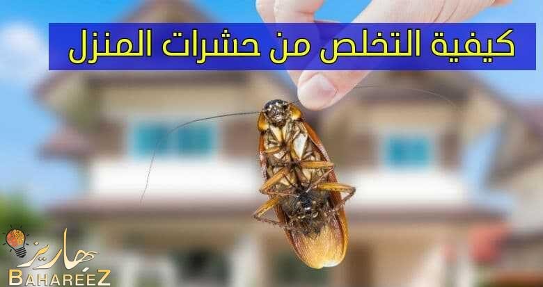 كيفية التخلص من حشرات المنزل ب 10 طرق كيفية التخلص من حشرات المنزل ب 10 طرق
