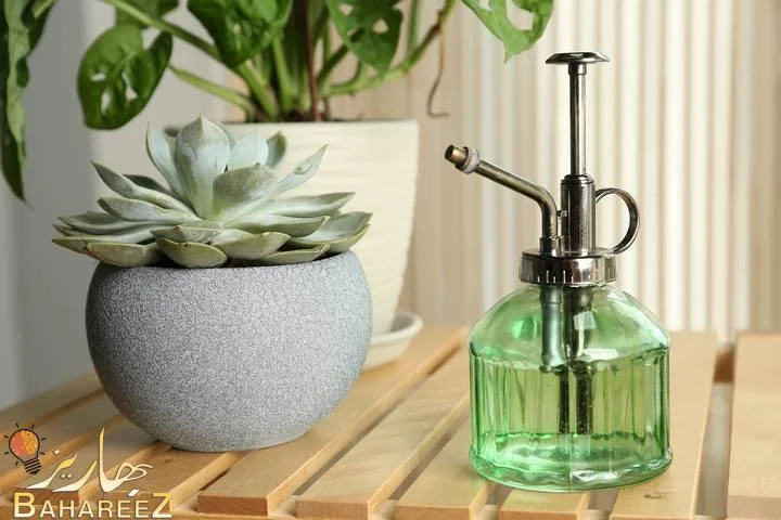 Houseplant Mister