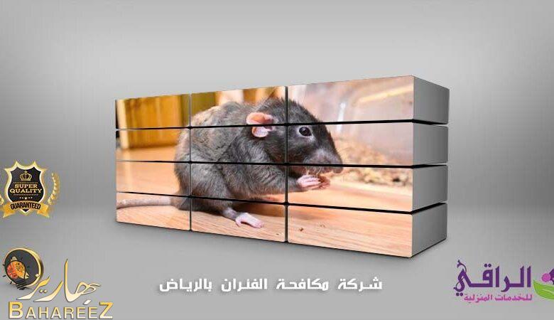 افضل شركة مكافحة فئران بالرياض مع الضمان افضل شركة مكافحة فئران بالرياض مع الضمان