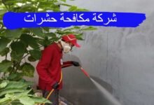 شركة مكافحة حشرات بالرياض 0550071994 : عروض وخصومات مع الضمان شركة مكافحة حشرات بالرياض 0550071994 : عروض وخصومات مع الضمان