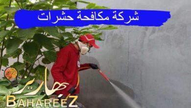 شركة مكافحة حشرات بالرياض 0550071994 : عروض وخصومات مع الضمان شركة مكافحة حشرات بالرياض 0550071994 : عروض وخصومات مع الضمان