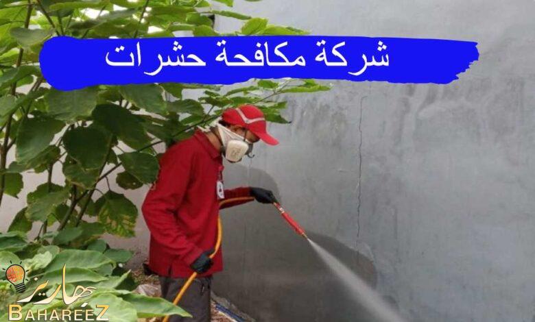 شركة مكافحة حشرات بالرياض 0550071994 : عروض وخصومات مع الضمان شركة مكافحة حشرات بالرياض 0550071994 : عروض وخصومات مع الضمان