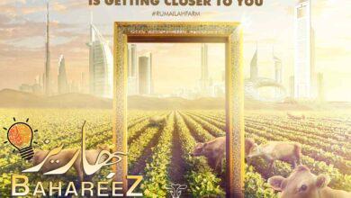 مزرعة الرميلة تقرر التوسع في جميع أنحاء الإمارات العربية المتحدة مزرعة الرميلة تقرر التوسع في جميع أنحاء الإمارات العربية المتحدة