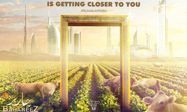 مزرعة الرميلة تقرر التوسع في جميع أنحاء الإمارات العربية المتحدة مزرعة الرميلة تقرر التوسع في جميع أنحاء الإمارات العربية المتحدة