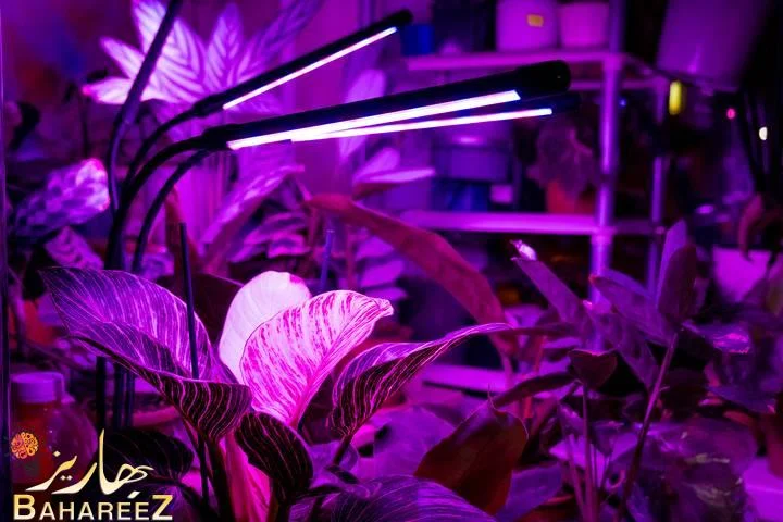 مصباح LED داخلي للنباتات