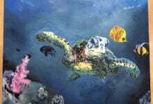 ﻣﺴﺎﺑﻘﺔ اﻟﺸﺒﺎب ﻟﻠﻔﻨﻮن ﺗﺘﯿﺢ ﻟﻠﻤﻮھﻮﺑﯿﻦ اﻟﺸﺒﺎب ﻓﻲ ﺟﻤﯿﻊ أﻧﺤﺎء اﻟﻌﺎﻟﻢ ﻓﺮﺻﺔ اﻹﺑﺪاع اﺣﺘﻔﺎءاً باليوم اﻟﻌﺎﻟﻤﻲ ﻟﻸﺣﯿﺎء اﻟﺒﺮﯾﺔ ﻣﺴﺎﺑﻘﺔ اﻟﺸﺒﺎب ﻟﻠﻔﻨﻮن ﺗﺘﯿﺢ ﻟﻠﻤﻮھﻮﺑﯿﻦ اﻟﺸﺒﺎب ﻓﻲ ﺟﻤﯿﻊ أﻧﺤﺎء اﻟﻌﺎﻟﻢ ﻓﺮﺻﺔ اﻹﺑﺪاع اﺣﺘﻔﺎءاً باليوم اﻟﻌﺎﻟﻤﻲ ﻟﻸﺣﯿﺎء اﻟﺒﺮﯾﺔ