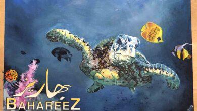 ﻣﺴﺎﺑﻘﺔ اﻟﺸﺒﺎب ﻟﻠﻔﻨﻮن ﺗﺘﯿﺢ ﻟﻠﻤﻮھﻮﺑﯿﻦ اﻟﺸﺒﺎب ﻓﻲ ﺟﻤﯿﻊ أﻧﺤﺎء اﻟﻌﺎﻟﻢ ﻓﺮﺻﺔ اﻹﺑﺪاع اﺣﺘﻔﺎءاً باليوم اﻟﻌﺎﻟﻤﻲ ﻟﻸﺣﯿﺎء اﻟﺒﺮﯾﺔ ﻣﺴﺎﺑﻘﺔ اﻟﺸﺒﺎب ﻟﻠﻔﻨﻮن ﺗﺘﯿﺢ ﻟﻠﻤﻮھﻮﺑﯿﻦ اﻟﺸﺒﺎب ﻓﻲ ﺟﻤﯿﻊ أﻧﺤﺎء اﻟﻌﺎﻟﻢ ﻓﺮﺻﺔ اﻹﺑﺪاع اﺣﺘﻔﺎءاً باليوم اﻟﻌﺎﻟﻤﻲ ﻟﻸﺣﯿﺎء اﻟﺒﺮﯾﺔ