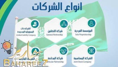انواع الشركات في السعودية: دليل شامل انواع الشركات في السعودية: دليل شامل
