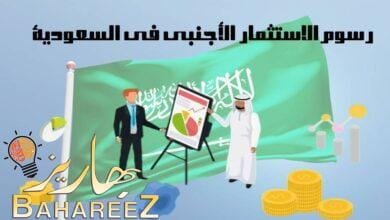رسوم الاستثمار الأجنبي في السعودية: دليل شامل للمستثمرين رسوم الاستثمار الأجنبي في السعودية: دليل شامل للمستثمرين