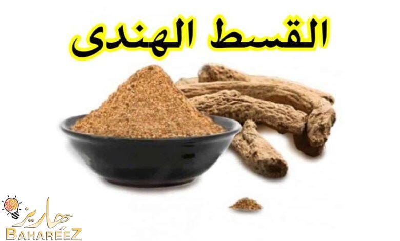 ماهو القسط الهندي من ريق النحل ماهو القسط الهندي من ريق النحل