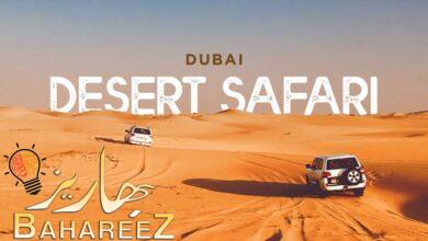 Unveiling the Enchanting World of Belly Dancing at Dubai Desert Safari