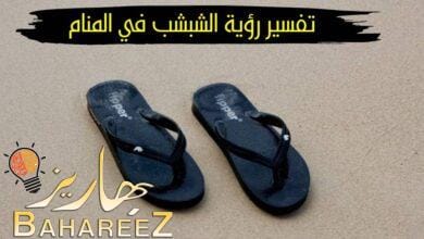 تفسير رؤية الشبشب في المنام واهم اراء علماء التفسير في حلم الشبشب تفسير رؤية الشبشب في المنام واهم اراء علماء التفسير في حلم الشبشب