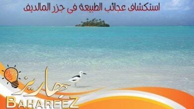 استكشاف عجائب الطبيعة في رحلة إلى جزر المالديف استكشاف عجائب الطبيعة في رحلة إلى جزر المالديف
