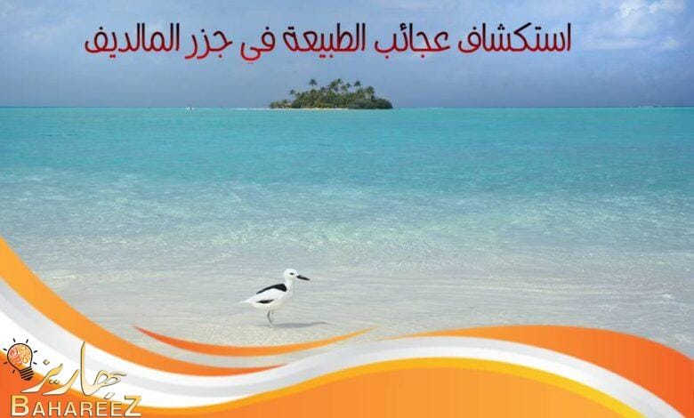 استكشاف عجائب الطبيعة في رحلة إلى جزر المالديف استكشاف عجائب الطبيعة في رحلة إلى جزر المالديف