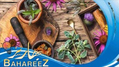 أهم فوائد الأعشاب الطبيعية علي الاطلاق أهم فوائد الأعشاب الطبيعية علي الاطلاق