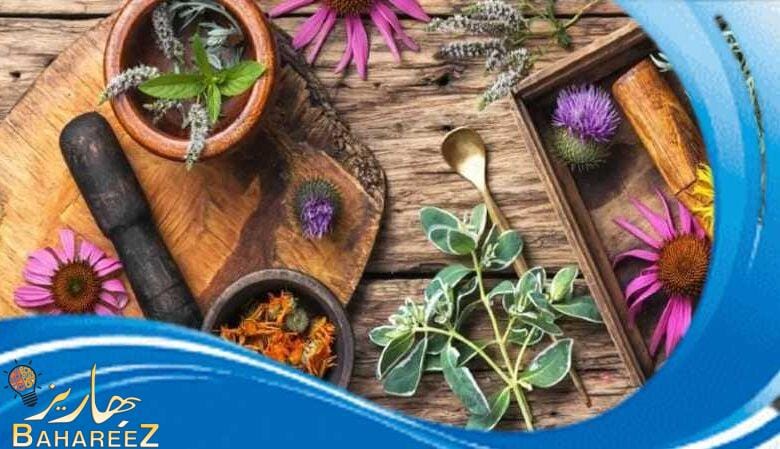 أهم فوائد الأعشاب الطبيعية علي الاطلاق أهم فوائد الأعشاب الطبيعية علي الاطلاق