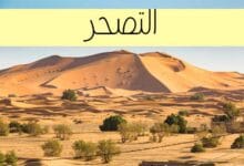 هل يزيد التصحر بفعل التغير المناخي؟ هل يزيد التصحر بفعل التغير المناخي؟