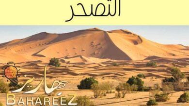 هل يزيد التصحر بفعل التغير المناخي؟ هل يزيد التصحر بفعل التغير المناخي؟