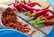 انواع الطعام الاكثر حرارة في العالم انواع الطعام الاكثر حرارة في العالم