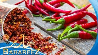 انواع الطعام الاكثر حرارة في العالم انواع الطعام الاكثر حرارة في العالم