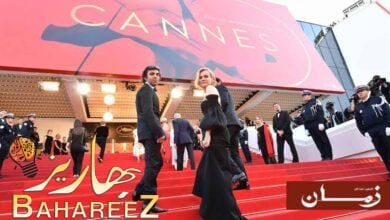 ماذا تعرف عن مهرجان كان السينمائي؟ ماذا تعرف عن مهرجان كان السينمائي؟