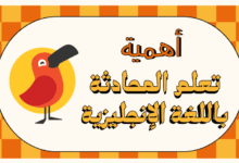 اهمية تعلم المحادثة باللغة الانجليزية اهمية تعلم المحادثة باللغة الانجليزية
